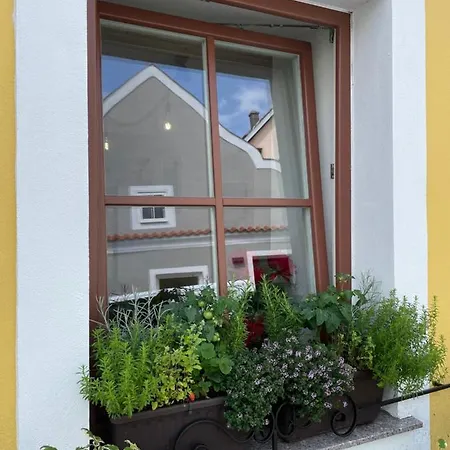Apartmany Zluty Domecek Trebon Exterior photo
