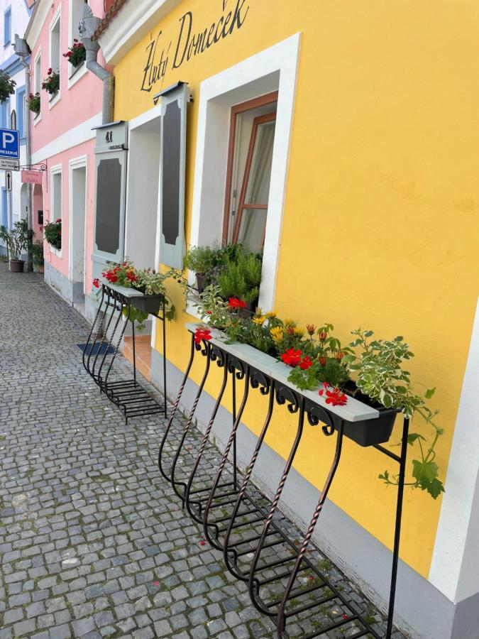 Apartment Zluty Domecek Trebon
