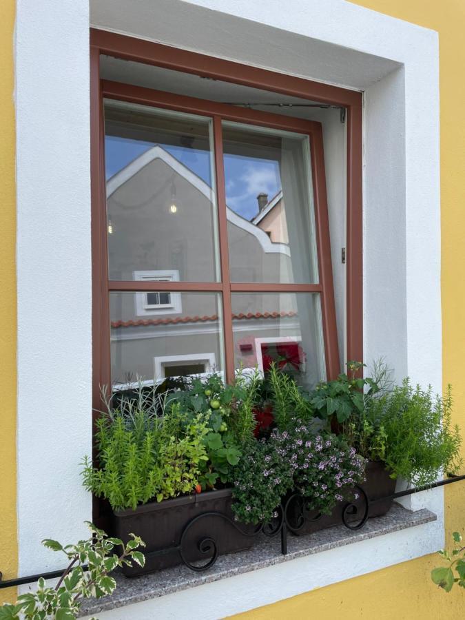 Zluty Domecek Apartment Trebon